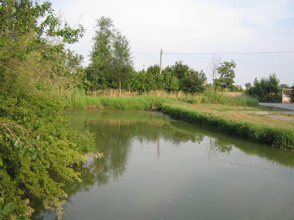 Reggiolo Agriturismo Lucchetta מראה חיצוני תמונה